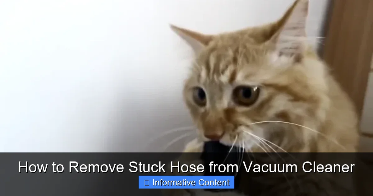 How to Remove Stuck Hose from Vacuum Cleaner