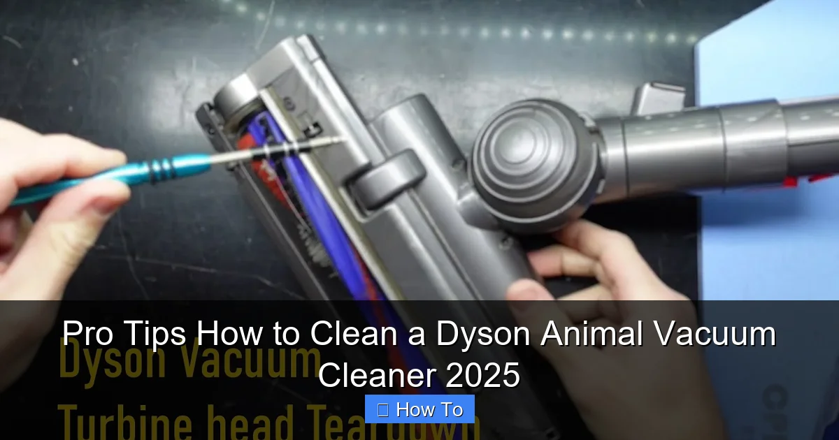 Pro Tips How to Clean a Dyson Animal Vacuum Cleaner 2025