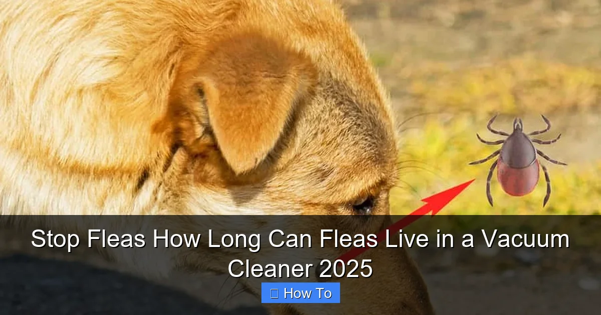 Stop Fleas How Long Can Fleas Live in a Vacuum Cleaner 2025