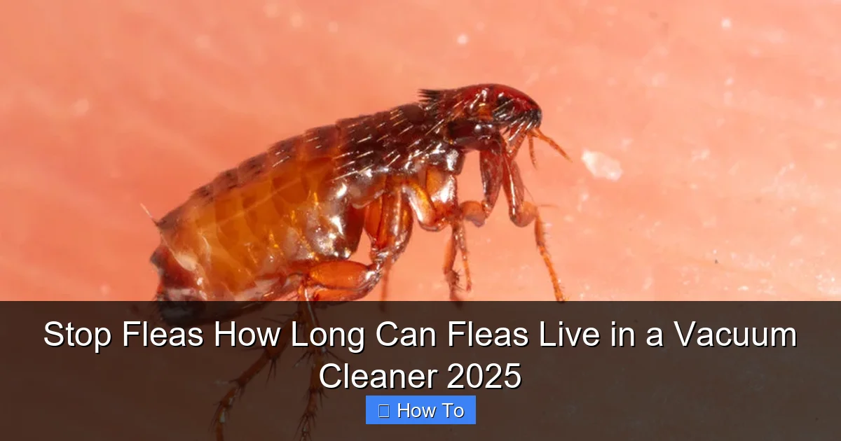 Stop Fleas How Long Can Fleas Live in a Vacuum Cleaner 2025