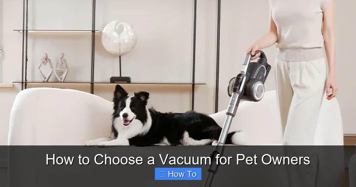 How to Choose a Vacuum for Pet Owners