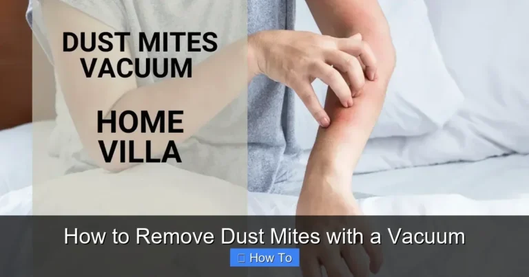 How to Remove Dust Mites with a Vacuum