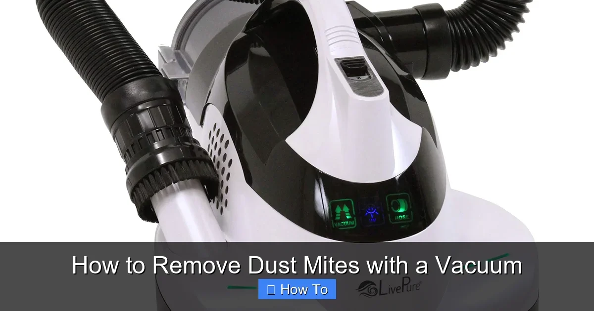 How to Remove Dust Mites with a Vacuum