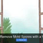 How to Remove Mold Spores with a Vacuum