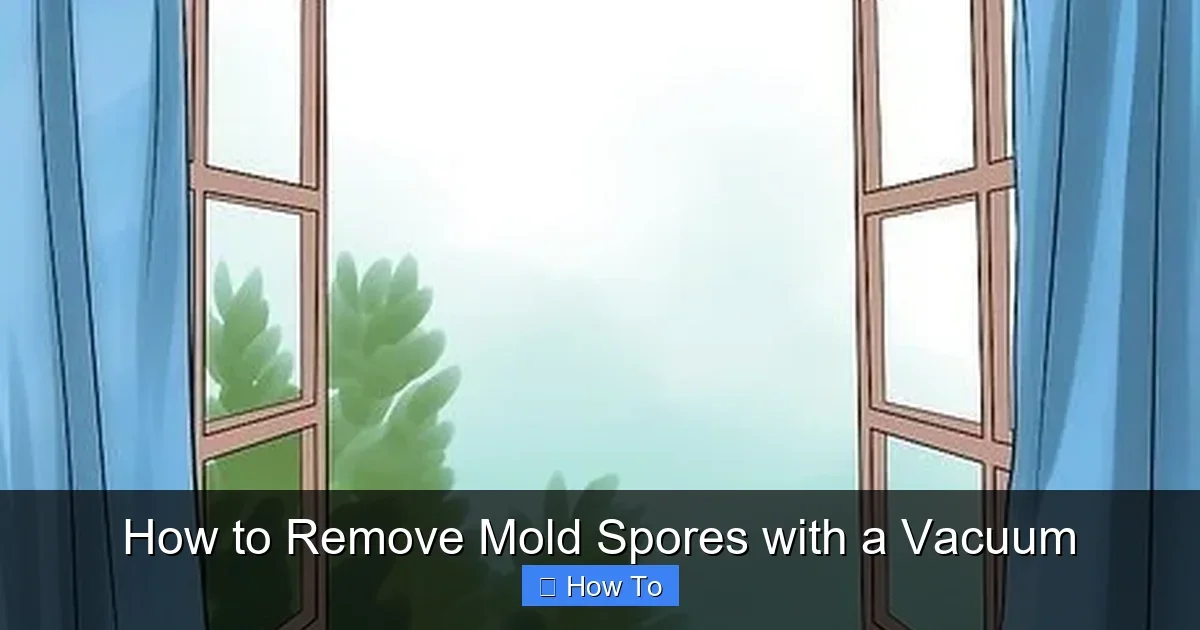 How to Remove Mold Spores with a Vacuum